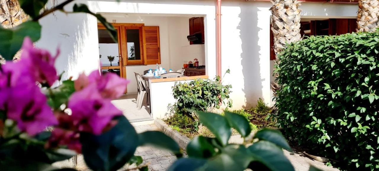 Ninfa Sul Mare Apartments 50 M E T R I Dal Mare Best Breakfast And Free Parking Capo Vaticano Ngoại thất bức ảnh
