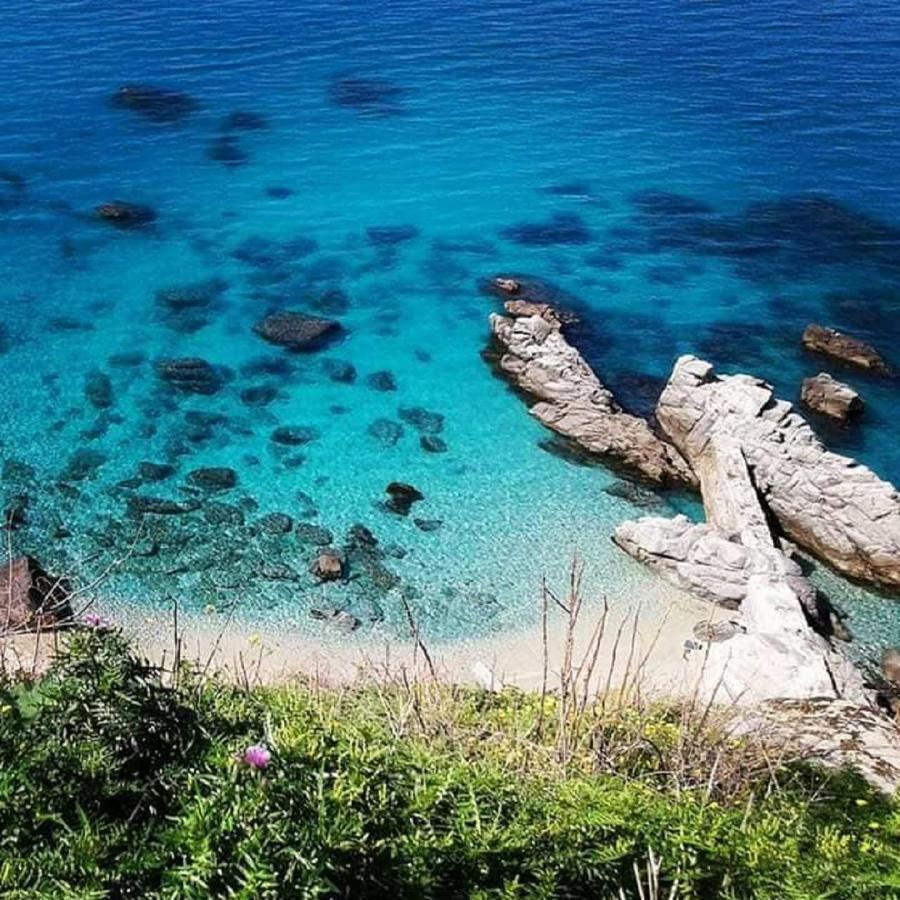 Ninfa Sul Mare Apartments 50 M E T R I Dal Mare Best Breakfast And Free Parking Capo Vaticano Ngoại thất bức ảnh